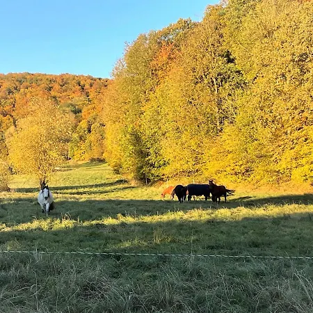 Lejlighed Haus Landlust
