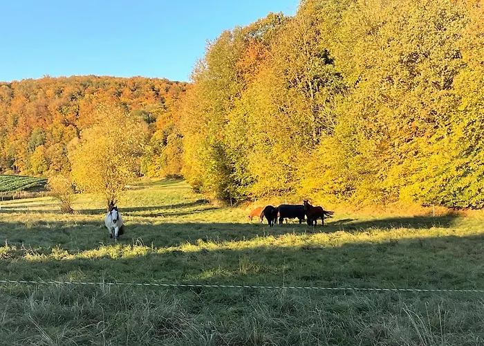 아파트 Haus Landlust